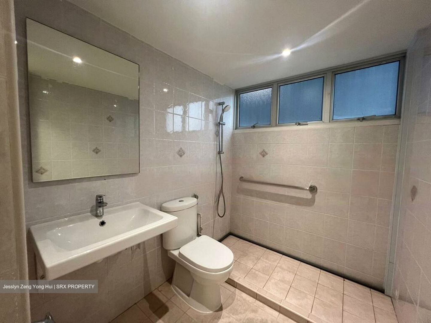 Dunearn Road (D11), Condominium #486496871